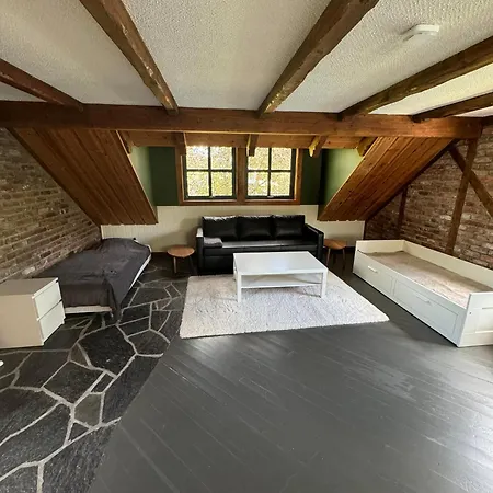 Svanetangen Ferie Og Fritid Hostel Bergen